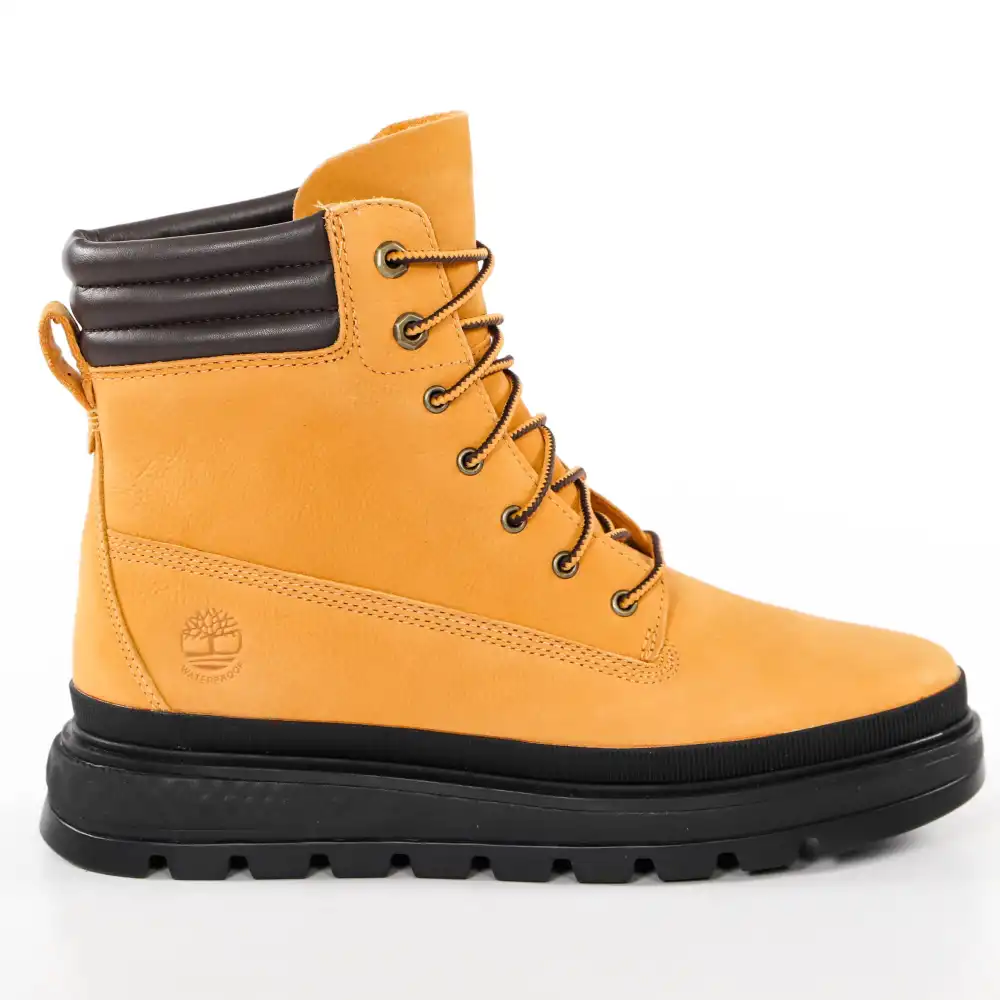 Ray 6 Timberland - 3 Ray 6 Timberland - 3