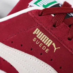 PARTNER: CREATION ref 374915-06