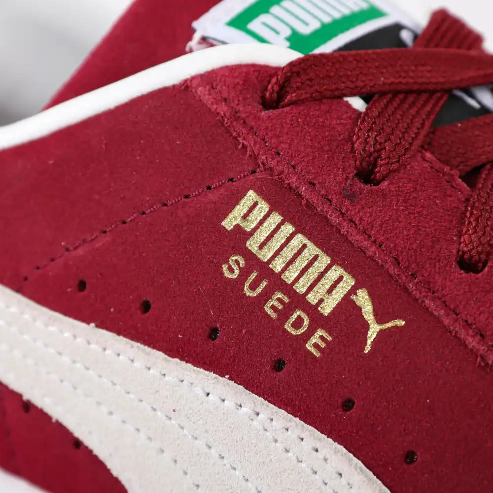 PARTNER: CREATION ref 374915-06