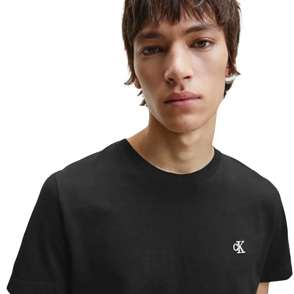 basic logo Calvin Klein - 2