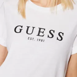 PARTNER: CREATION ref W0GI69-G011