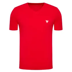 classic logoTriangle Guess - 1