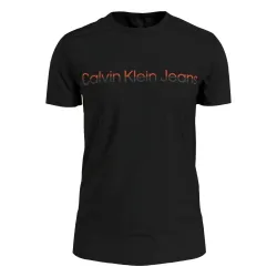 Logo color dégradé Calvin Klein - 1