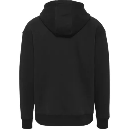 Produits victimes de leur succès Tommy Jeans Noir Regular linear hoodie