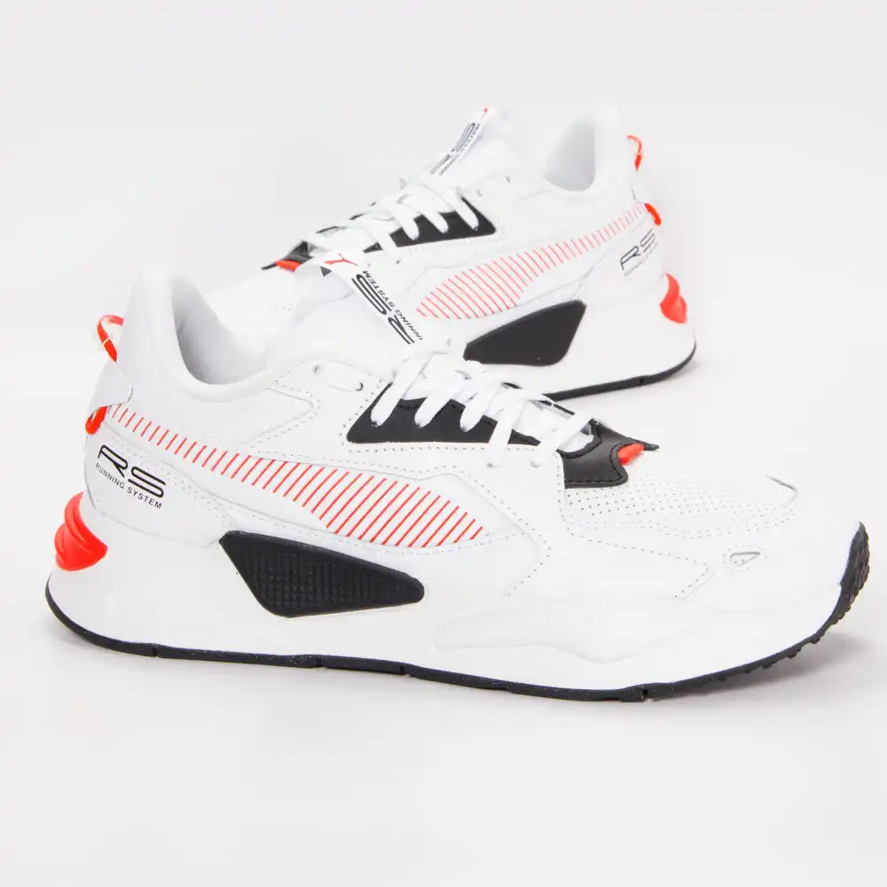 rs-z lith Puma - 2 rs-z lith Puma - 2