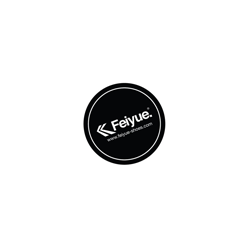 Feiyue